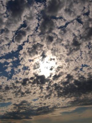 P1017388