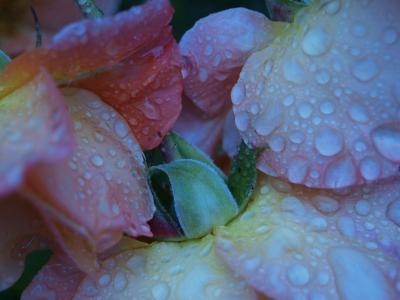P1017402