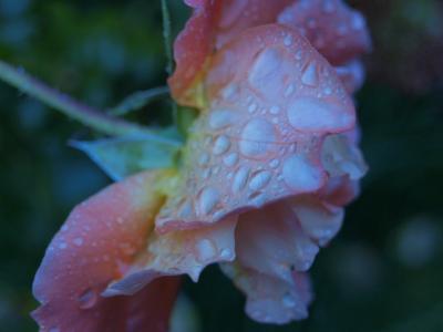 P1017425