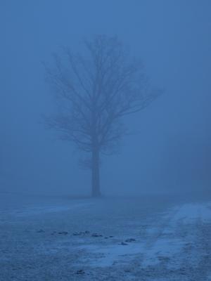 P1018292