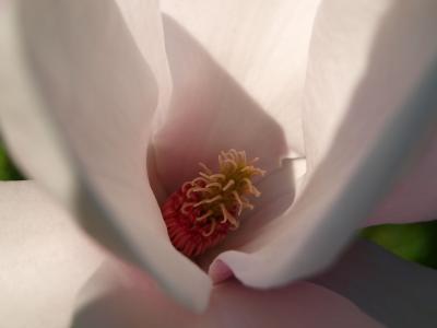 P1019386