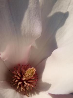 P1019396