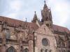 Freiburger Münster