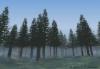 Wald-2