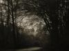 Wald2