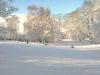schneelandschaft