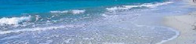 header