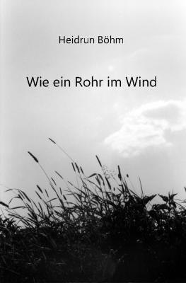 <br />
<br />
<br />
<br />
<br />
<br />
Lieber Bernd<br />
 Seit deinem Tod sind viele Jahre vergangen. Heute denke ich an dich, wie an einen guten Freund, den man irgendwann verloren hat.<br />
Doch an den Abend, an dem wir das letzte Mal Hand in Hand durch deine Heimatstadt gingen, erinnere ich mich deutlich. <br />
Du hast dich von deiner Stadt verabschiedet, alte bekannte Plätze aufgesucht. Nur du wusstest, es sind die letzten Stunden, die wir miteinander erleben. Du hattest deinen Tod geplant. Die Worte, die du mir zum Abschied sagtest, werde ich nicht vergessen:<br />
„Ich mag dich sehr, aber ich kann nicht bei dir bleiben.<br />
Du wirst einen Mann finden, der mit dir harmoniert, aber es wird nicht leicht sein, denn du bist eine außergewöhnliche Frau.“<br />
 <br />
<br />
