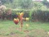2010_Galungan-038