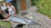 Marlin_02