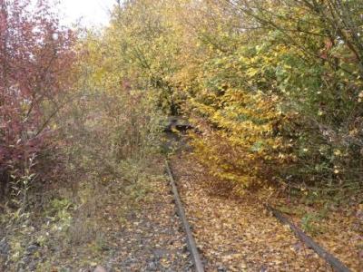 PrellbFrauenzimmern2