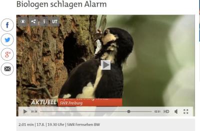SWR-Aktuell