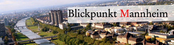 Blick auf Mannheim - Nähe Herzogenried Park