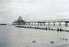Die Heringsdorfer Seebrücke<br />
(Heringsdorf, Oktober 2009)