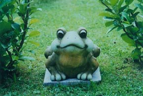 Frosch2