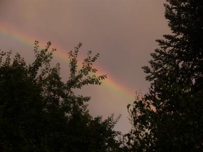 rainbow