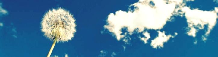 header