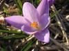1-Aprilwochenende-046