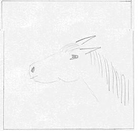 Pferd21