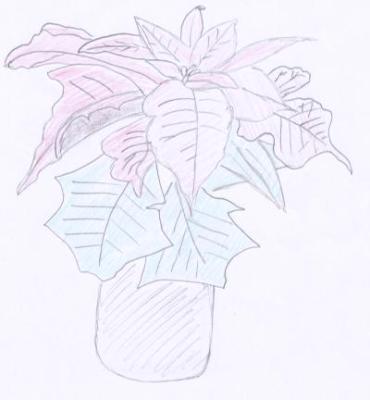 Weihnachtsstern002