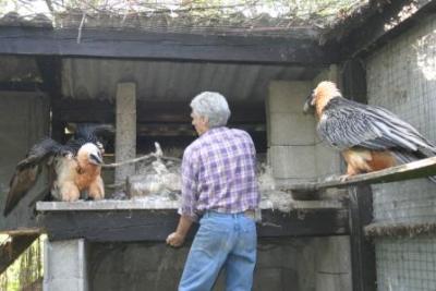 BG-Blutabnahme-fuer-genetischen-Fingerabdruck-2009-7-