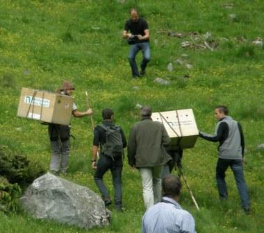 Bartgeierfreilassung-Seebachtal-2009-4-