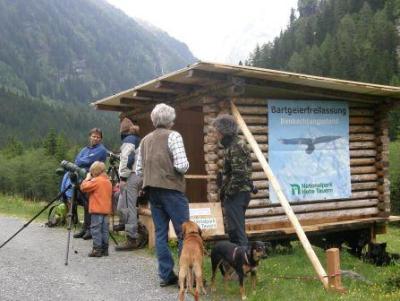 Bartgeierfreilassung-Seebachtal-2009-6-