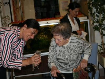 Turmfalken-Laaerberg-1-