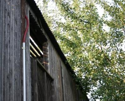 Turmfalkenfreilassung-1-5-