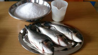 Fische1
