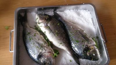Fische2