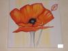 Mohn