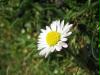 aufgenommen am 17.04.2005, 12:56MEZ, Ort: Badestelle Selker Noor