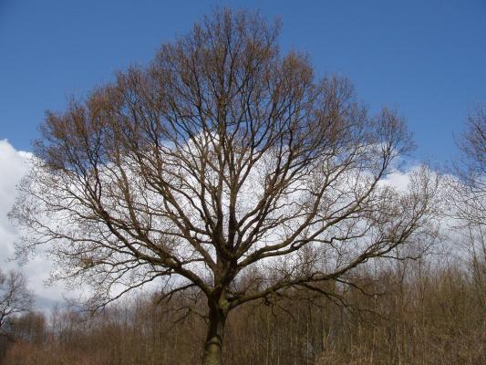 P11010112