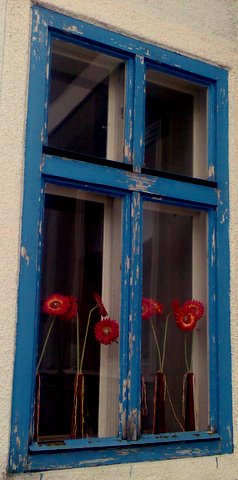 Bild0191
