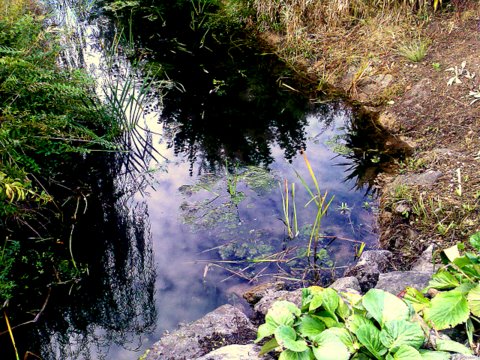 Bild0461