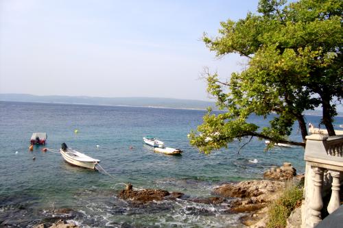 DSC07571