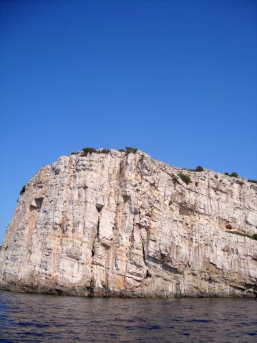 DSC07698