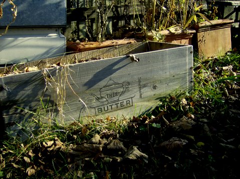 bilder-von-renate-009