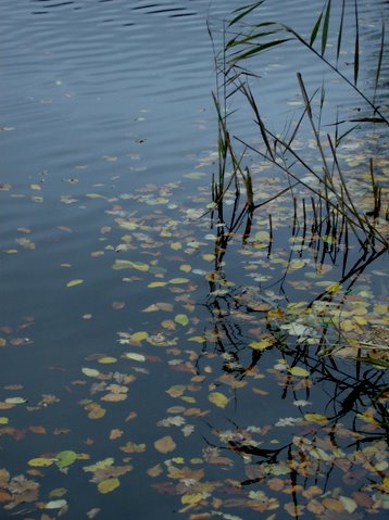 bilder-von-renate-027