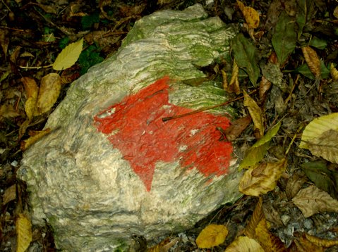 bilder-von-renate-055