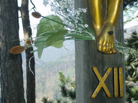 bilder-von-renate-069