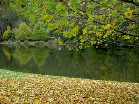 bilder-von-renate-095