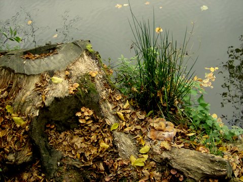 bilder-von-renate-1051