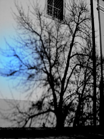 bilder-von-renate-113