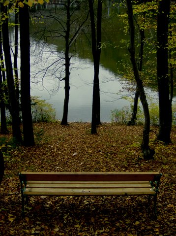 bilder-von-renate-125