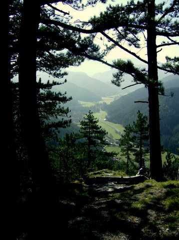 bilder-von-renate-149