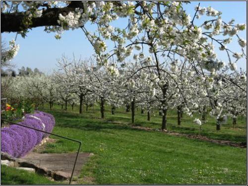 image-4496bf24afe7fab6f046bf4923da8de6