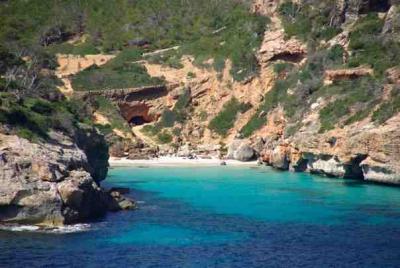 n659017987_783553_2664