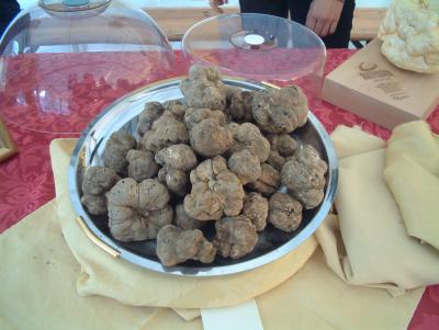 Truffles_white_Croatia